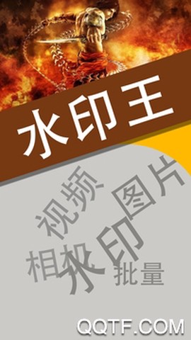 水印王[图5]