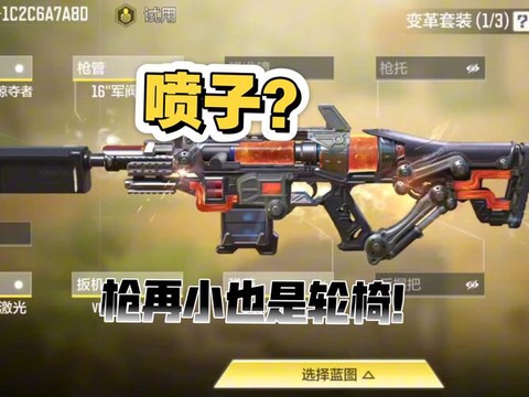 使命召唤什么枪好用[图2]