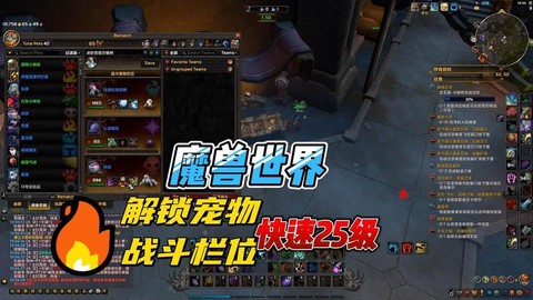 魔兽世界宠物怎么战斗[图2]
