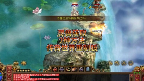 传奇世界灵兽怎么获得[图2]