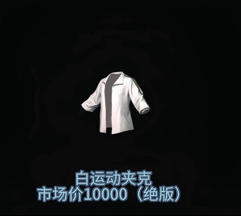 绝地求生大衣有什么用