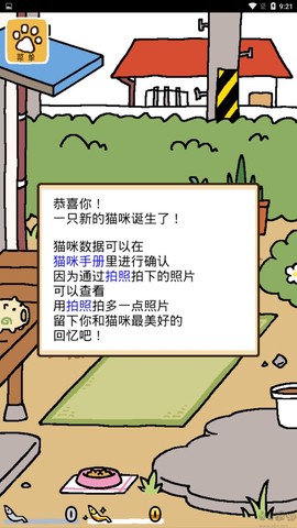 猫咪后院2中文版[图8]