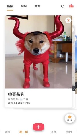 爪爪巴士图3