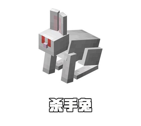 我的世界兔子皮有什么用[图2]