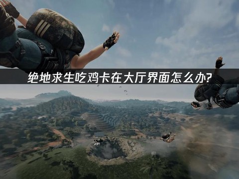 电脑玩绝地求生卡怎么办[图2]