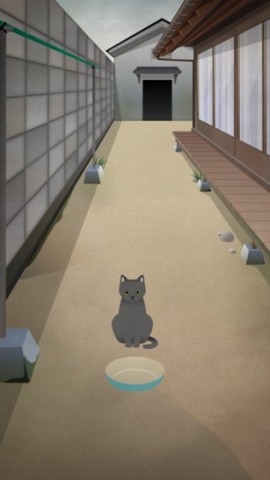 可爱猫咪满满图2