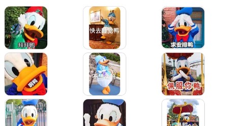 斗图表情包广场[图1]