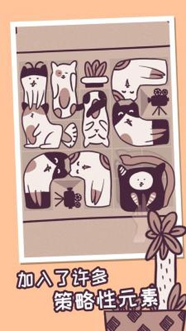 我的小猫贼好看图3