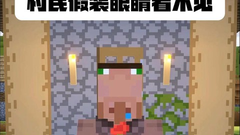 我的世界村民为什么总看着我[图2]