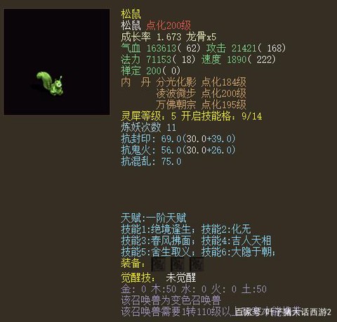 大话2为什么要松鼠[图2]