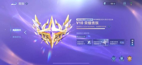 王者荣耀如何隐藏贵族