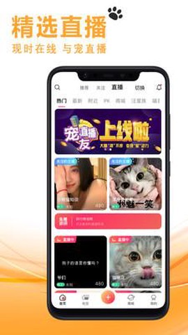 宠友社交图1