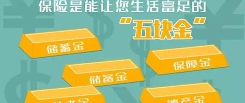 保鱼通[图1]
