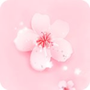 桃花视频编辑
