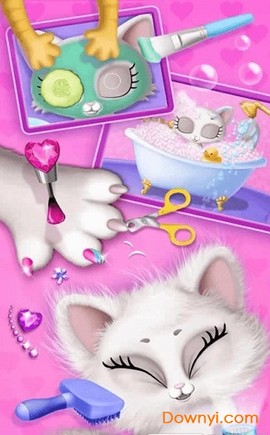 我的可爱小猫截图1
