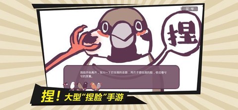 文鸟恋爱物语[图1]