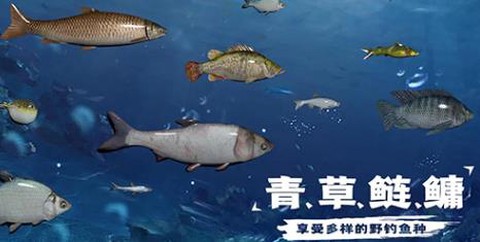 天天钓鱼[图2]