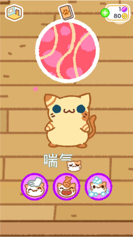 小偷猫安装包截图3
