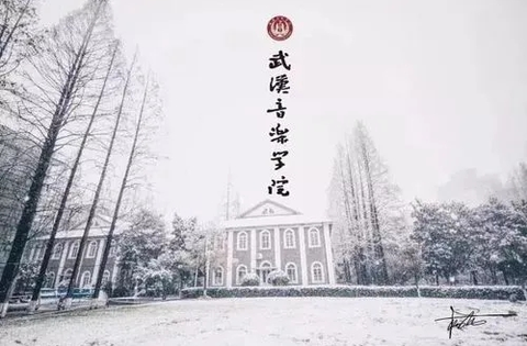 武音微门户[图1]