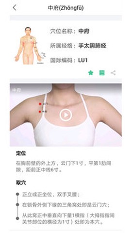 经络穴位图解截图3