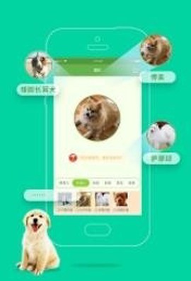 人猫交流器纯净版截图3