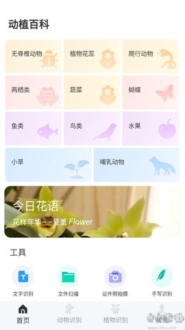 动物百科[图1]