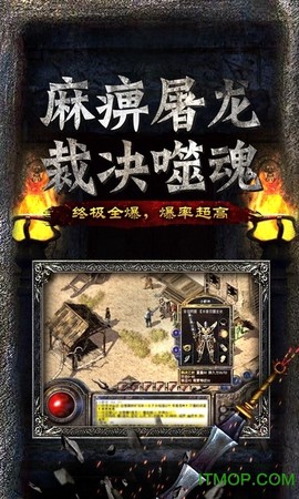 王者传奇安卓版截图2