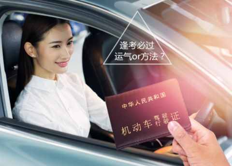 驾考宝典极速版截图2