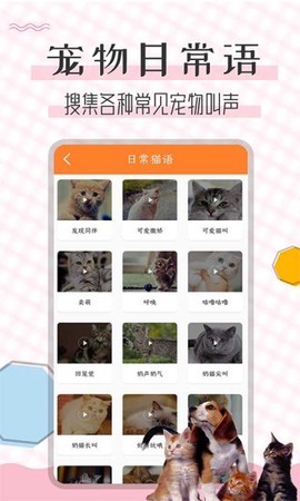 猫语翻译宝截图2