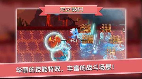 龙之契约截图2