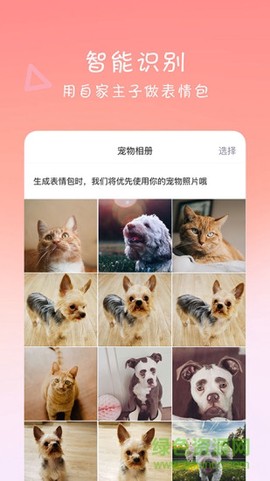 宠物输入法截图2