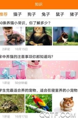 宠美会员[图3]