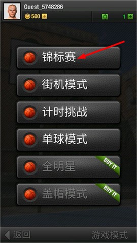 真实篮球3D[图2]