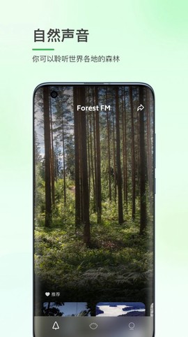 森林白噪音[图1]