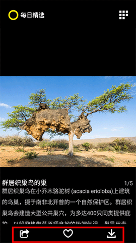 每日精选[图2]