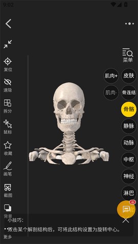 3dbody解剖[图3]