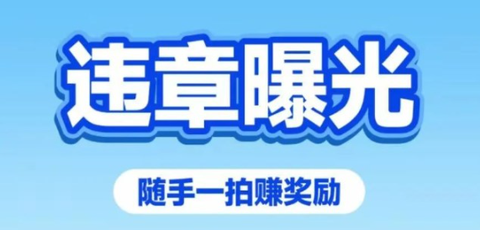 车拍拍[图4]