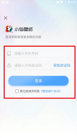 小鸟壁纸[图5]