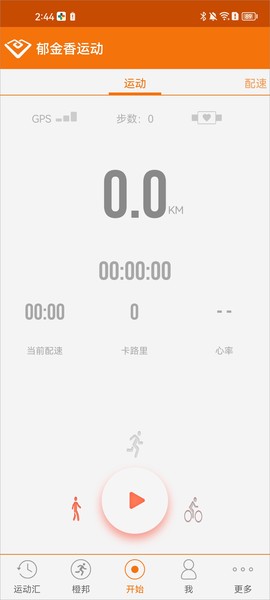郁金香运动[图1]