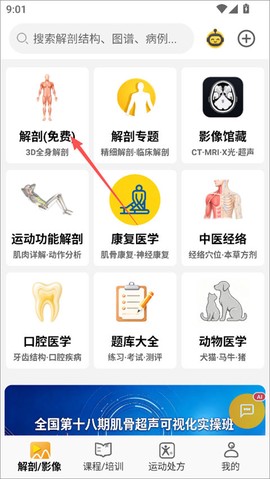 3dbody解剖[图1]