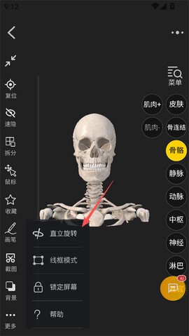 3dbody解剖[图7]