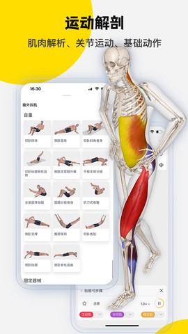 3dbody解剖截图1