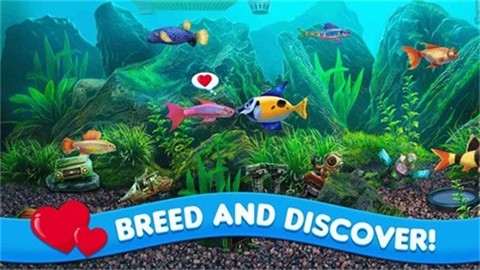 养鱼大亨[图5]