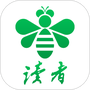 读者蜂巢