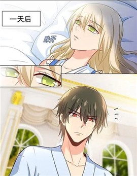 追追漫画官方版截图1