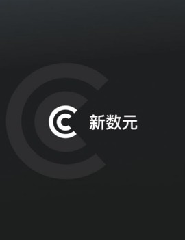 新数元截图3