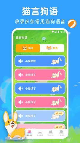 宠物猫咪翻译器[图2]