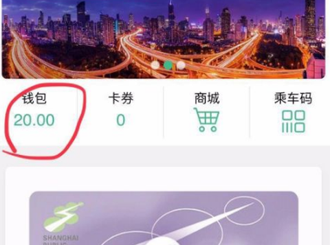 上海交通卡安卓版截图3
