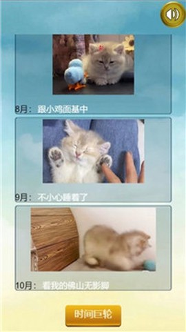 猫的一生重启模拟器截图3