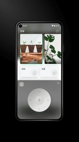 immers[图1]